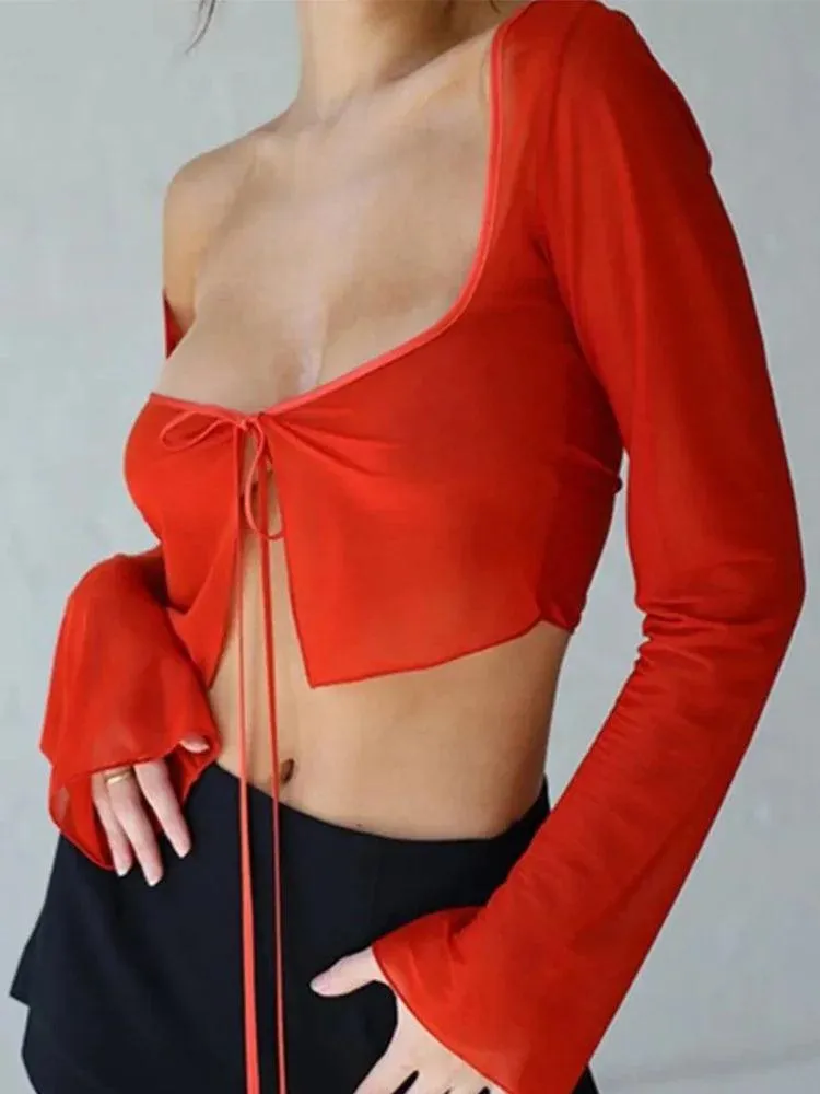 Amy Mesh Crop Top