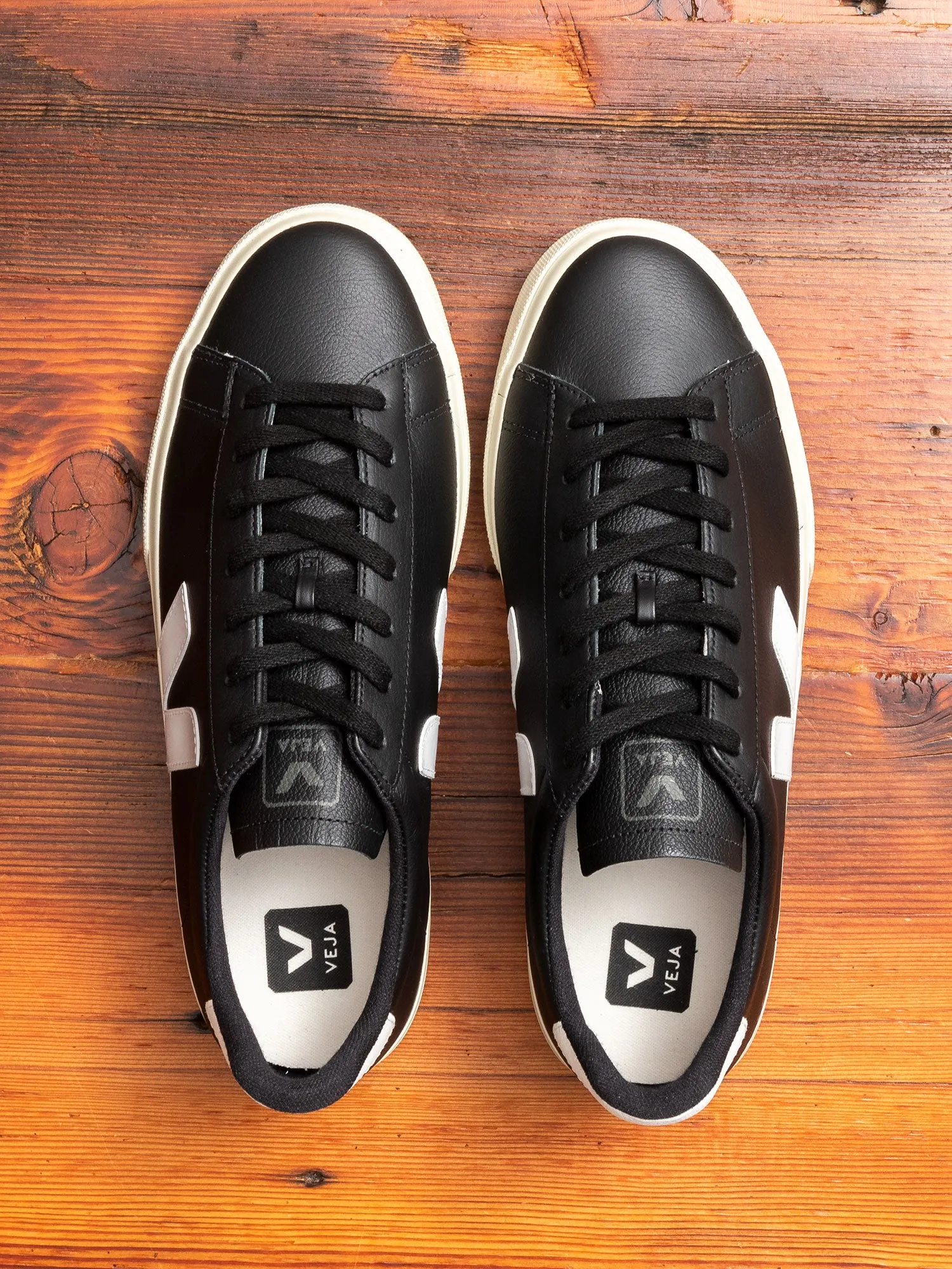 Campo Sneaker in Black White