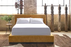 Loft Bed
