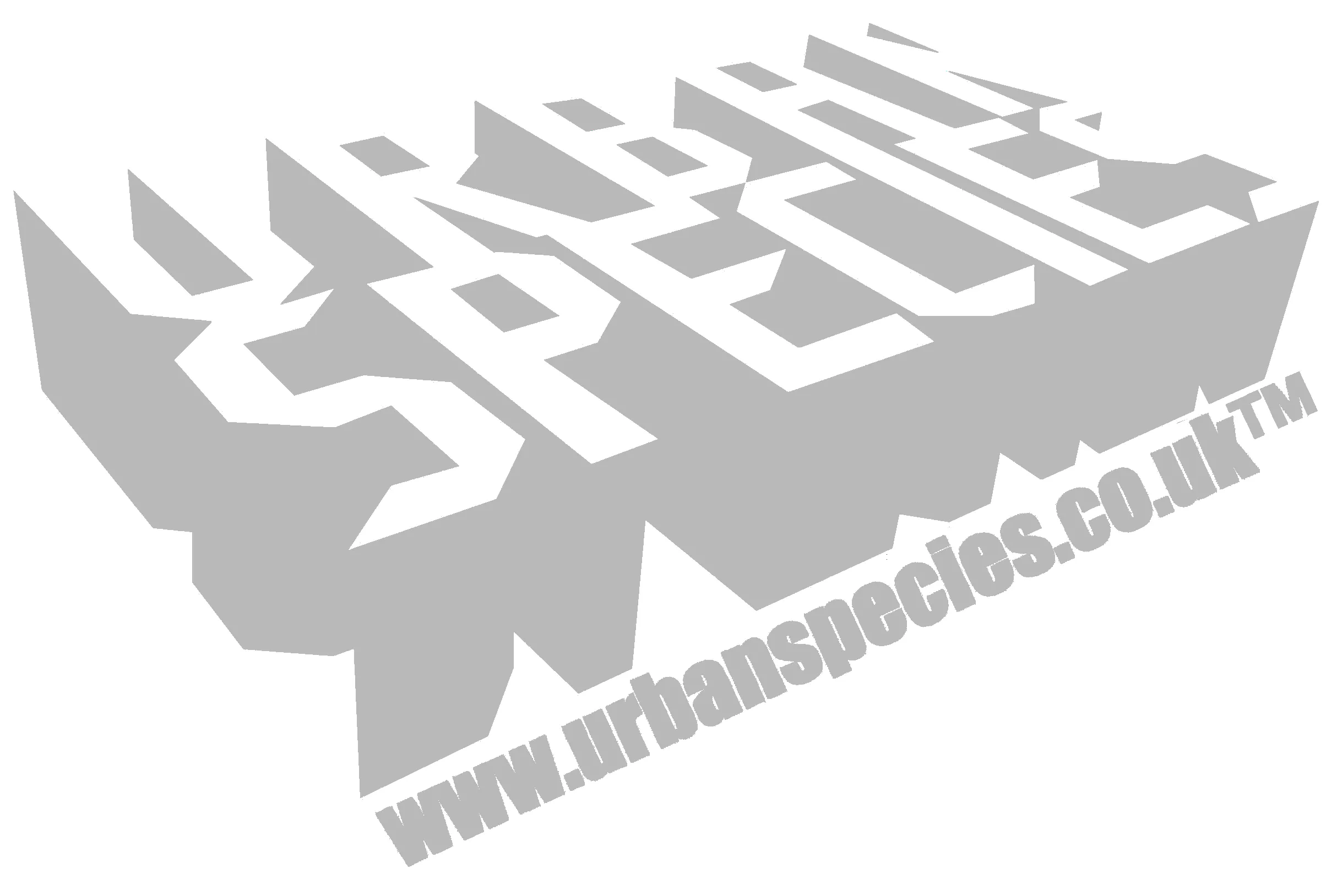 Urban Attitude Kings Coronation 2023 Stencil Royal Flush Youth T-shirt
